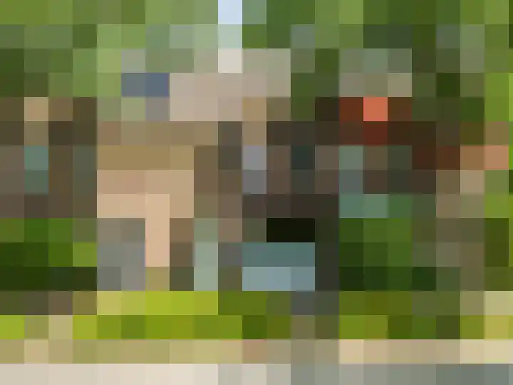 Vossenerlaan 60 Venlo thumbnail 47