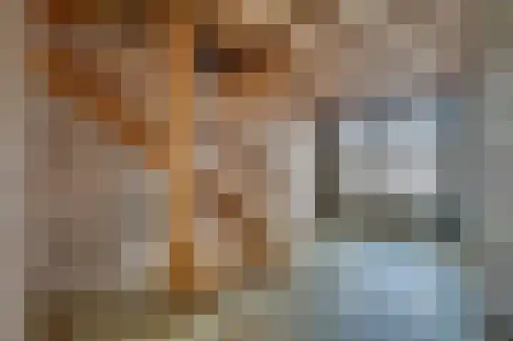 Vossenerlaan 60 Venlo thumbnail 9
