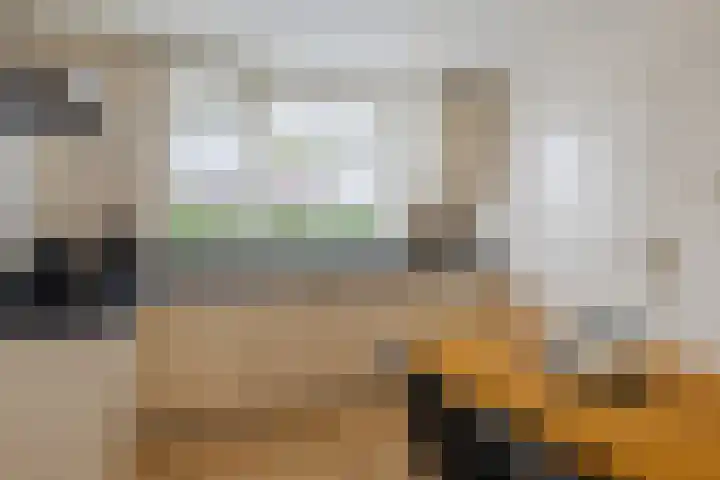 Vossenheuvel 3 De Mortel thumbnail 18