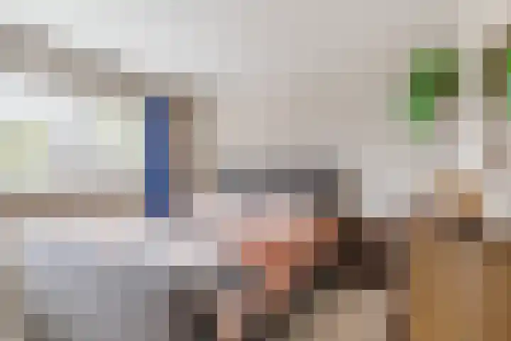 Vossenheuvel 3 De Mortel thumbnail 5