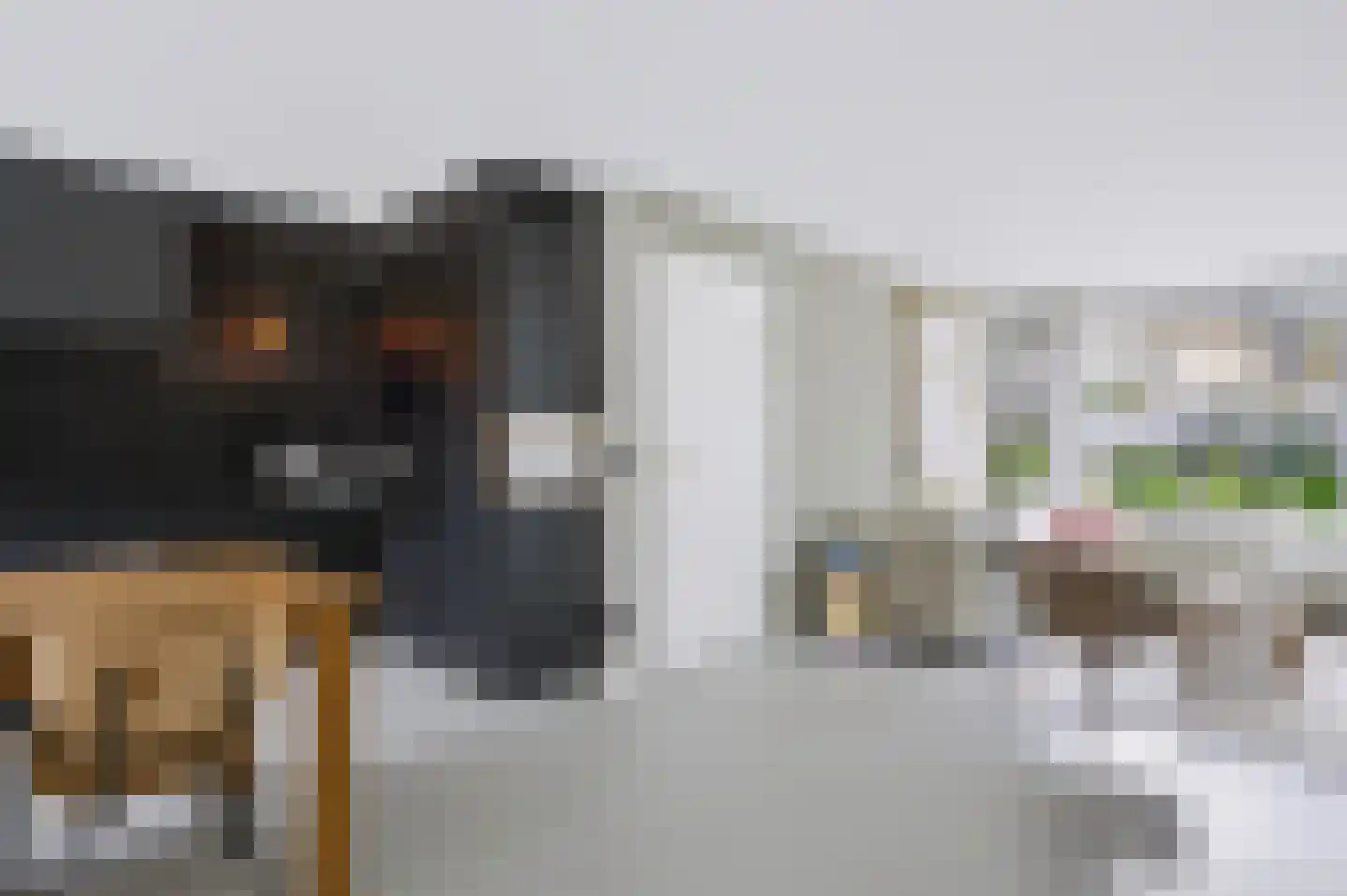 Vossenhoek 1 Vaassen thumbnail 11