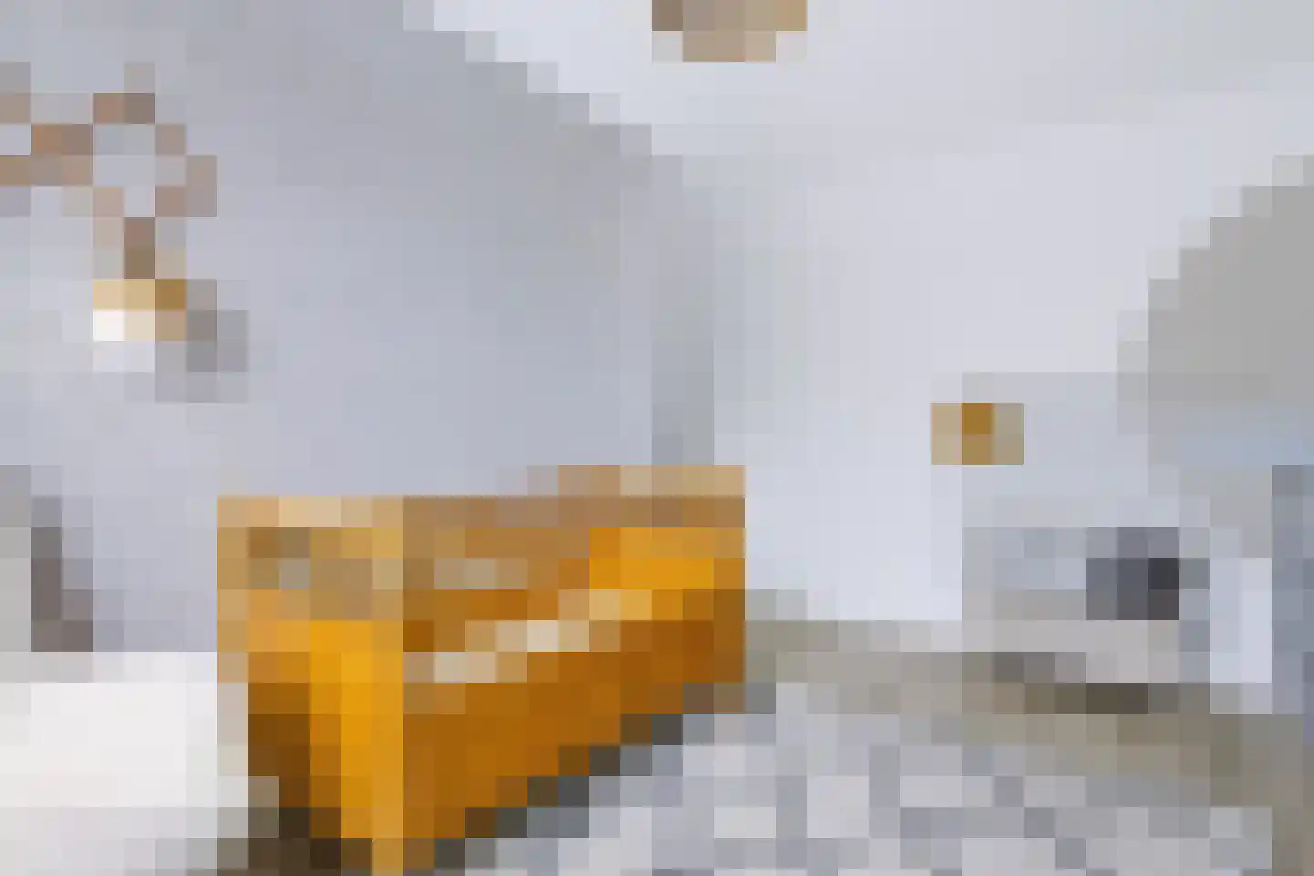 Vossenhoek 1 Vaassen thumbnail 18