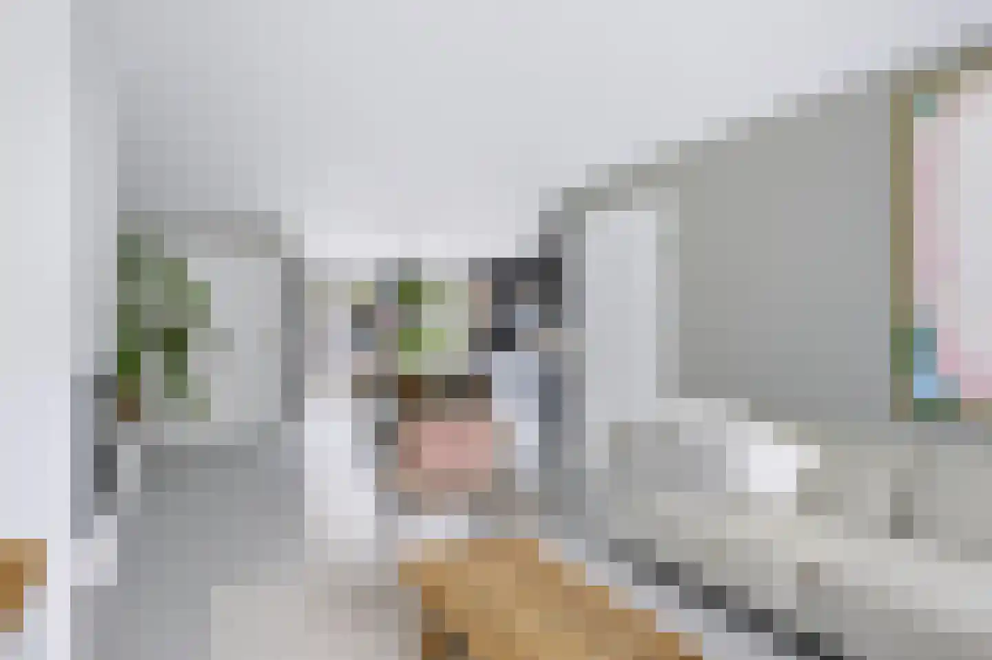 Vossenhoek 1 Vaassen thumbnail 4