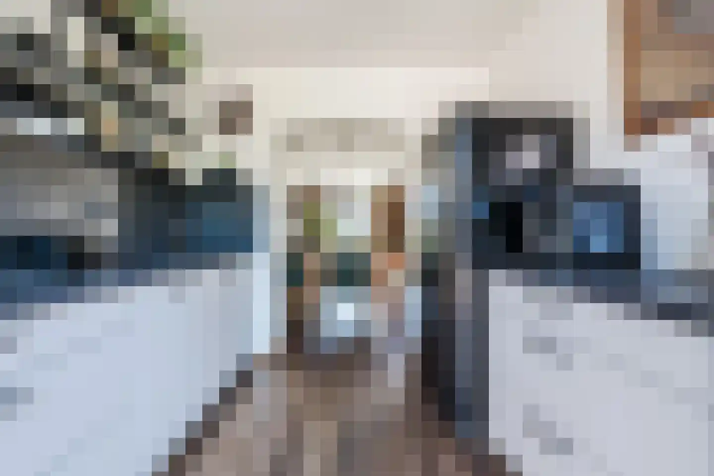 Vossenhof 12 Hooge Mierde thumbnail 20