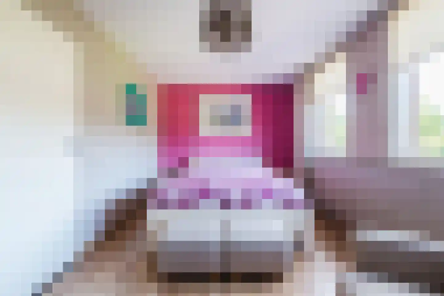 Vossenhof 12 Hooge Mierde thumbnail 25
