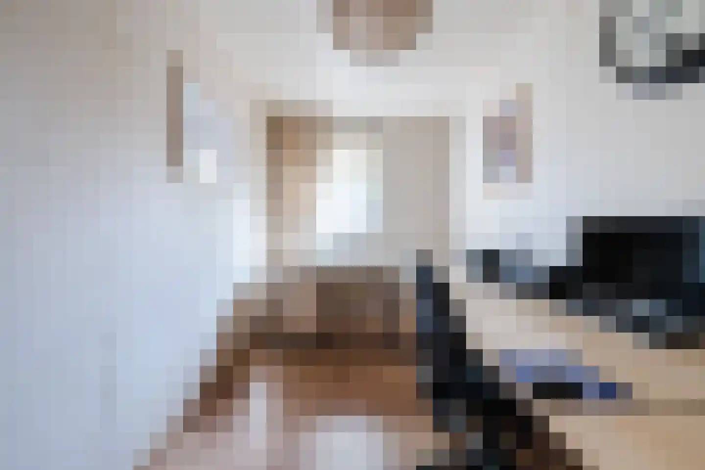 Vossenhof 12 Hooge Mierde thumbnail 30