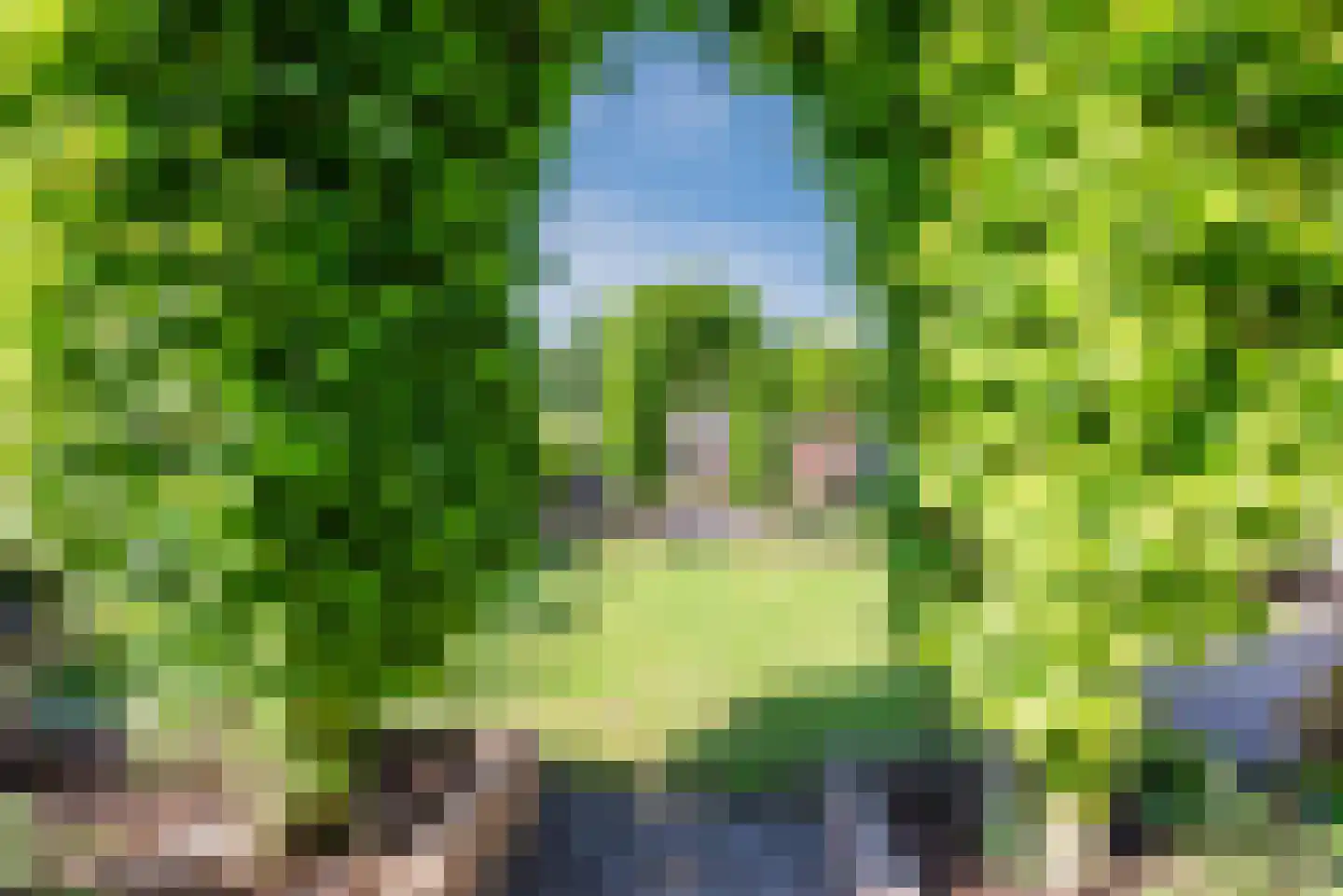Vossenhof 12 Hooge Mierde thumbnail 37