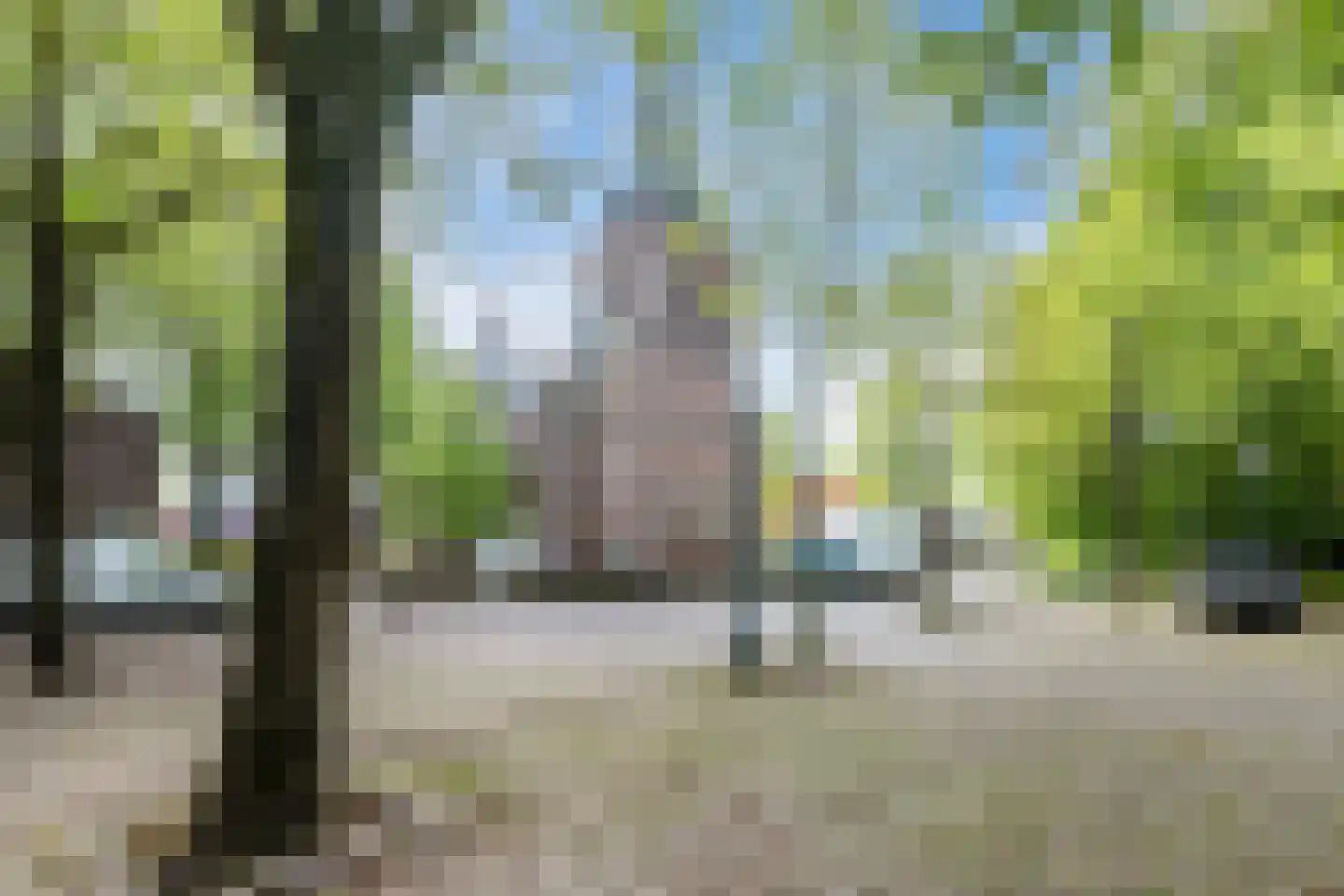 Vossenhof 12 Hooge Mierde thumbnail 49