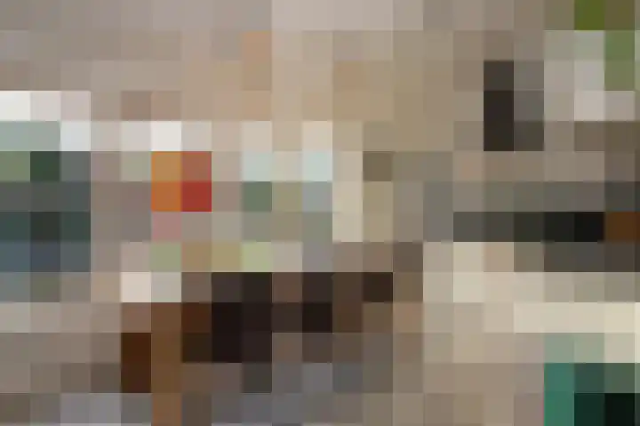 Vossenhof 14 Hooge Mierde thumbnail 11
