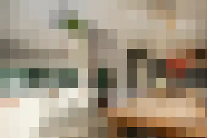 Vossenhof 14 Hooge Mierde thumbnail 12