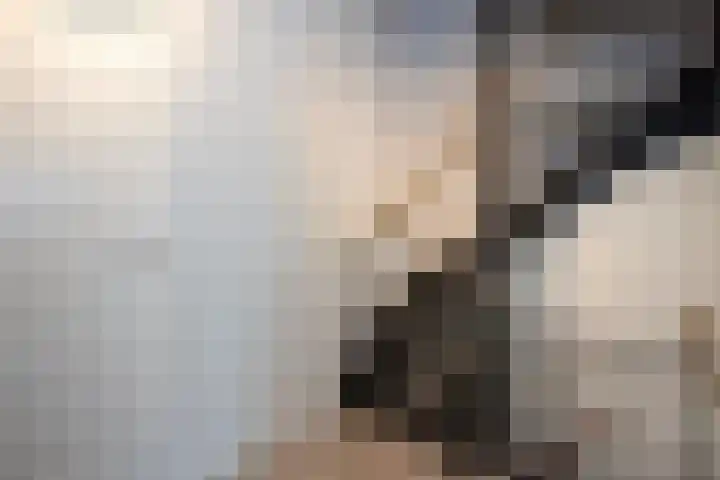 Vossenhof 14 Hooge Mierde thumbnail 17