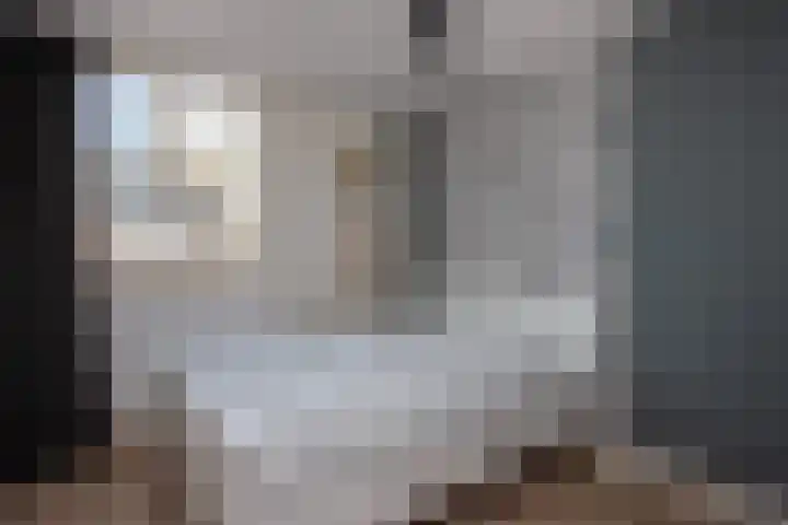 Vossenhof 14 Hooge Mierde thumbnail 19
