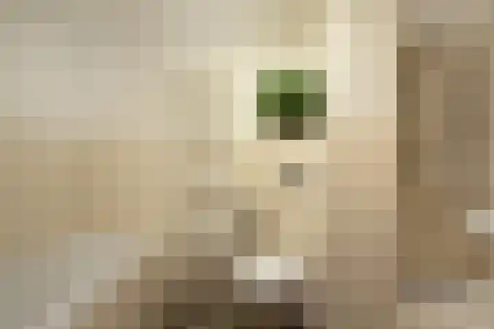 Vossenhof 14 Hooge Mierde thumbnail 21