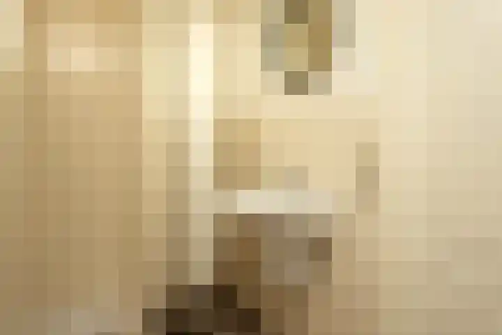 Vossenhof 14 Hooge Mierde thumbnail 23