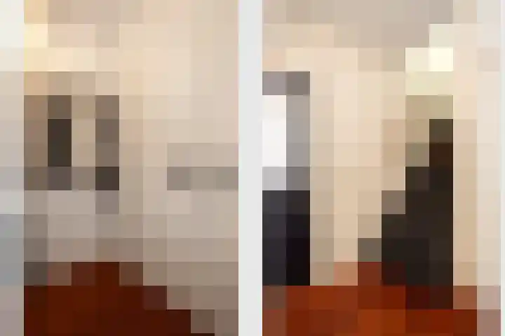 Vossenhof 14 Hooge Mierde thumbnail 5