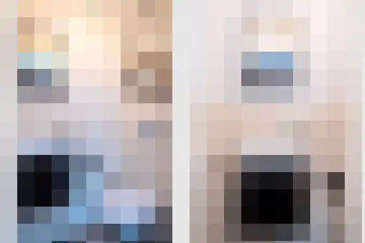 Vossenhof 14 Hooge Mierde thumbnail 6