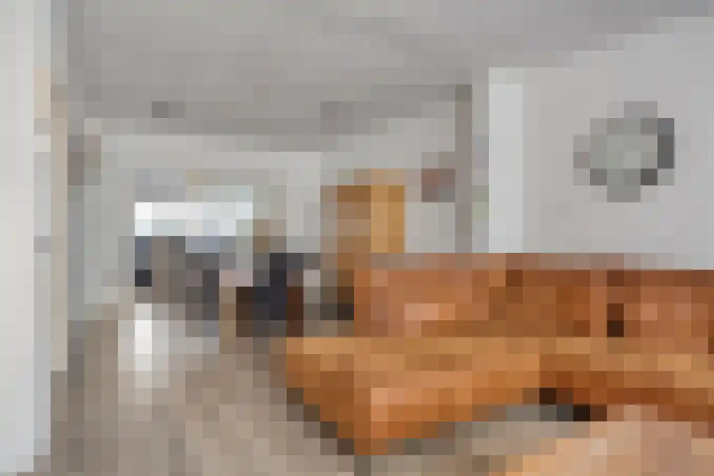 Vossenhof 17 Hooge Mierde thumbnail 17