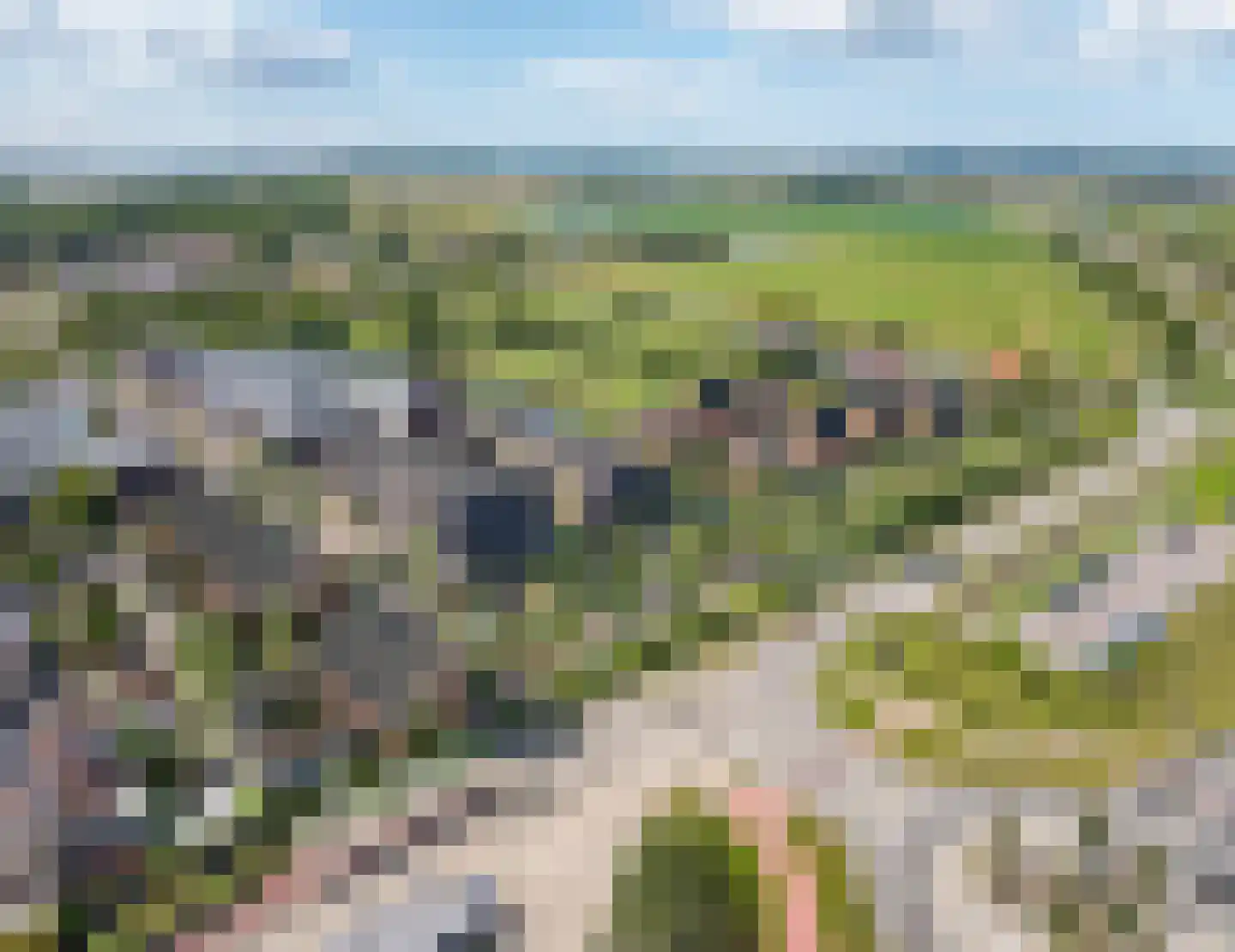 Vossenhof 2 Oude-Tonge thumbnail 8