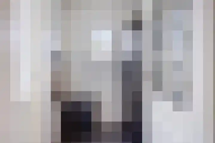 Vossenhof 20 Hooge Mierde thumbnail 21