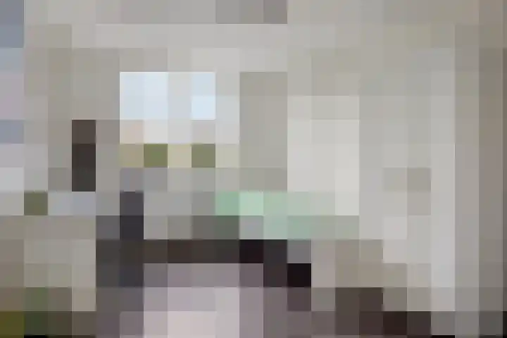 Vossenhof 20 Hooge Mierde thumbnail 31