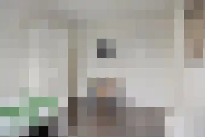 Vossenhof 20 Hooge Mierde thumbnail 32