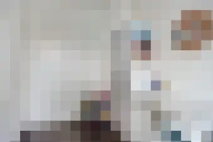 Vossenhof 20 Hooge Mierde thumbnail 34