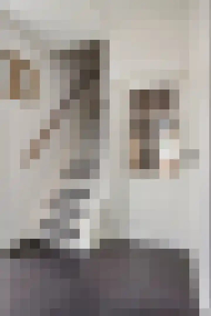 Vossenhof 20 Hooge Mierde thumbnail 4