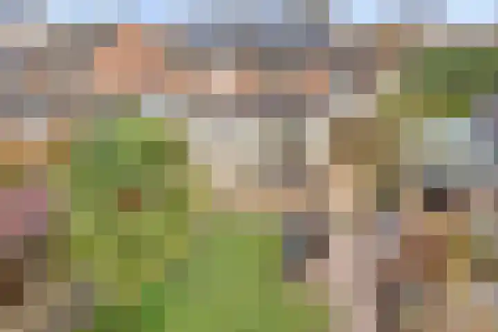 Vossenhof 20 Hooge Mierde thumbnail 42