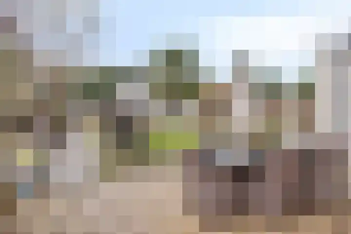 Vossenhof 20 Hooge Mierde thumbnail 43