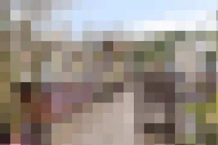 Vossenhof 20 Hooge Mierde thumbnail 45