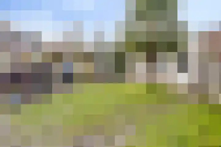 Vossenhof 20 Hooge Mierde thumbnail 46