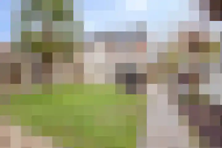 Vossenhof 20 Hooge Mierde thumbnail 47