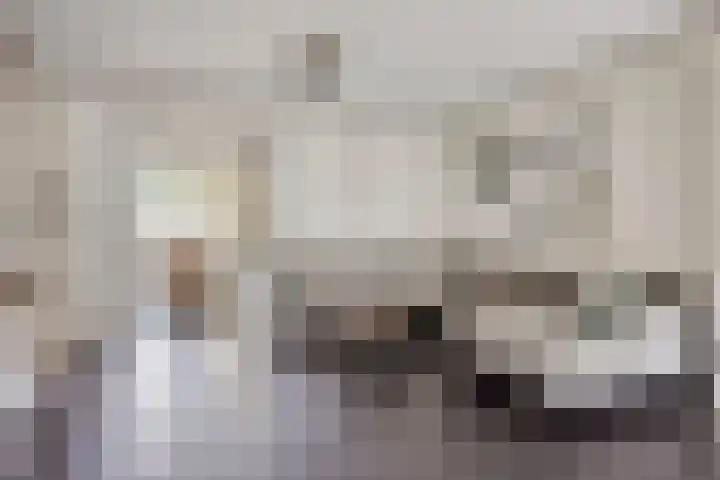 Vossenhof 20 Hooge Mierde thumbnail 5