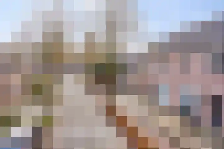 Vossenhof 20 Hooge Mierde thumbnail 56