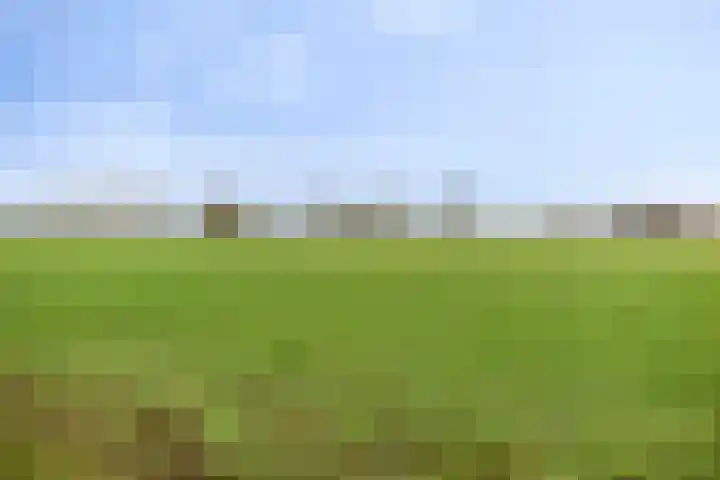 Vossenhof 20 Hooge Mierde thumbnail 57