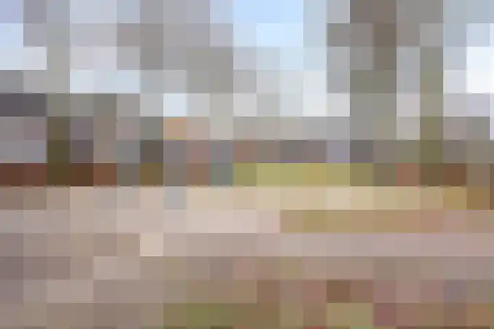 Vossenhof 20 Hooge Mierde thumbnail 58