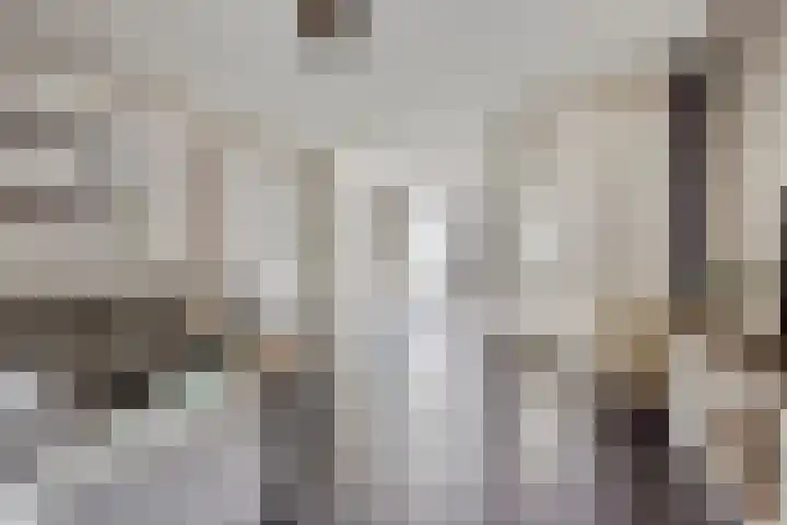 Vossenhof 20 Hooge Mierde thumbnail 6