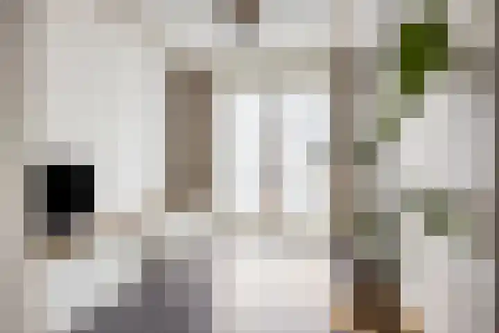 Vossenhof 20 Hooge Mierde thumbnail 7