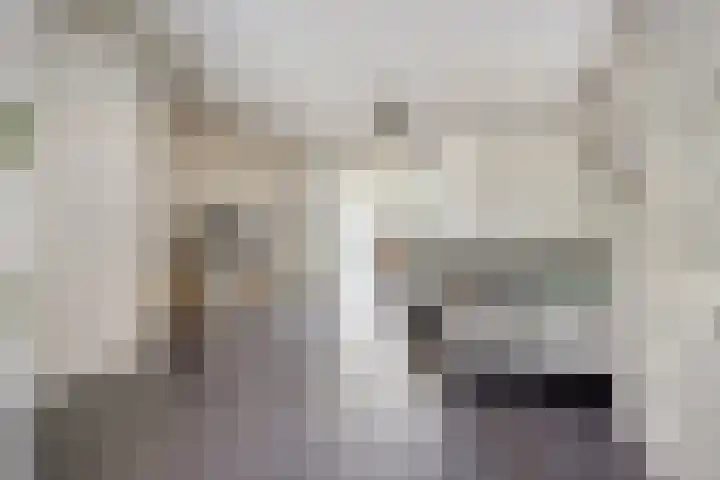 Vossenhof 20 Hooge Mierde thumbnail 9