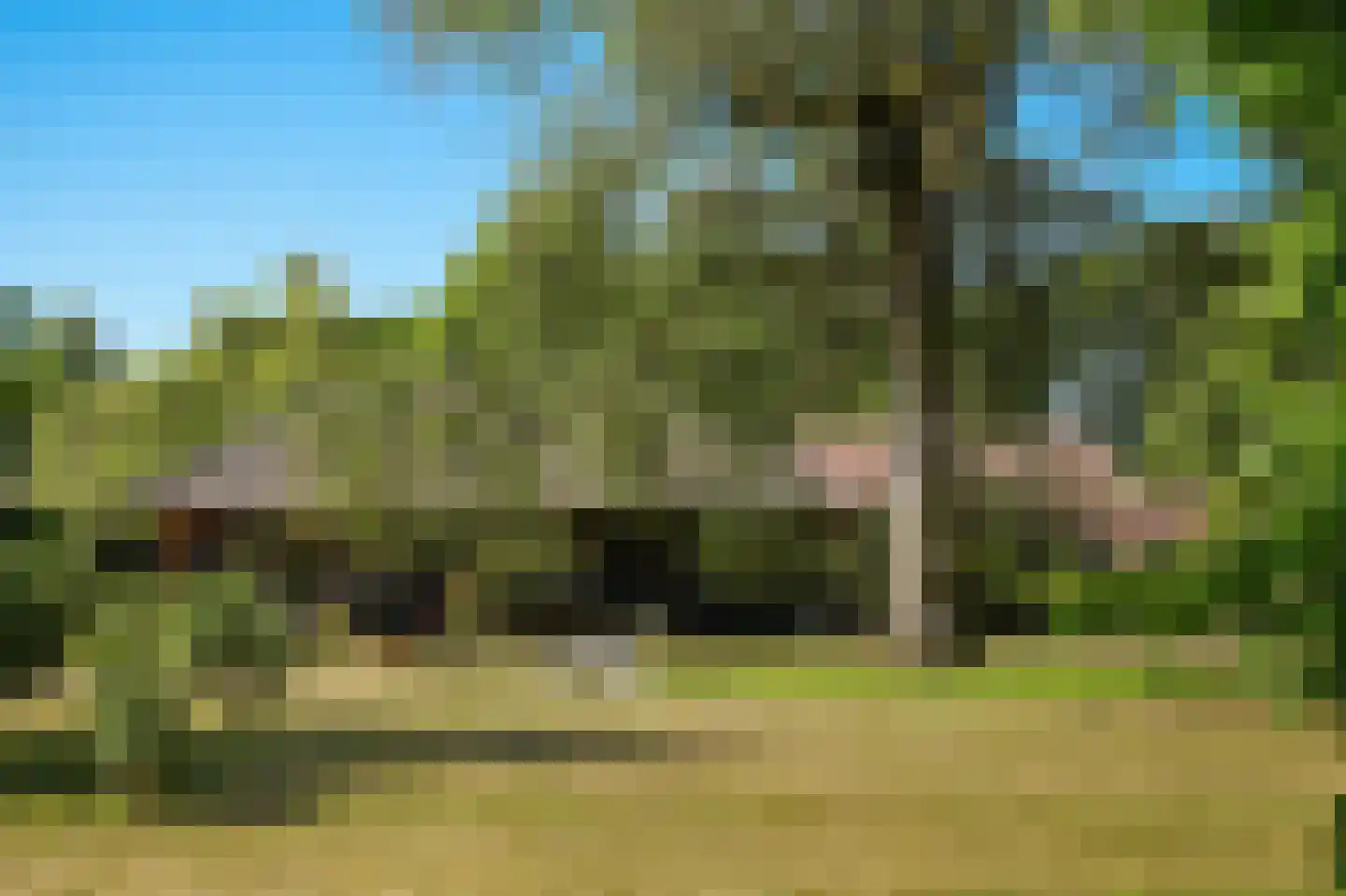 Vossenhof 46 Nijmegen thumbnail 49