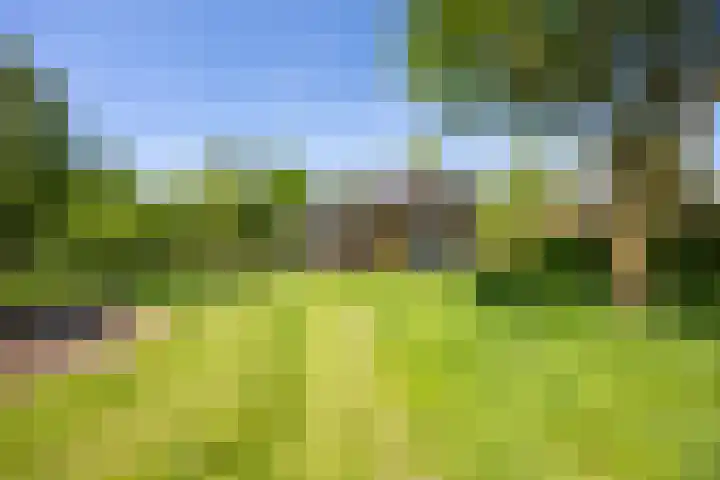 Vossenhof 48 Nijmegen thumbnail 4