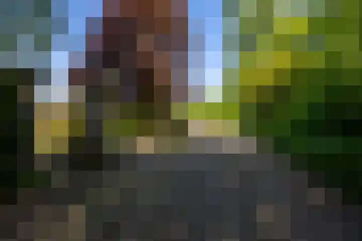 Vossenhof 48 Nijmegen thumbnail 53