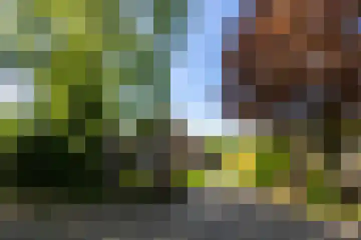Vossenhof 48 Nijmegen thumbnail 54
