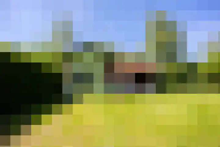 Vossenhof 48 Nijmegen thumbnail 57