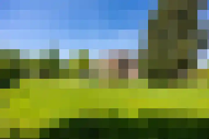 Vossenhof 48 Nijmegen thumbnail 62
