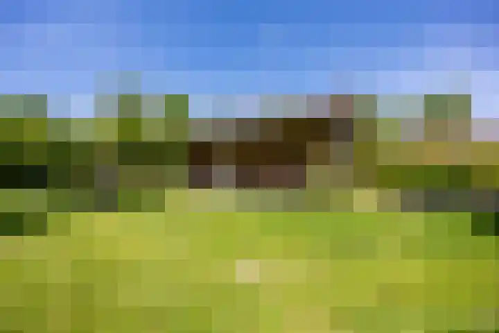 Vossenhof 48 Nijmegen thumbnail 63
