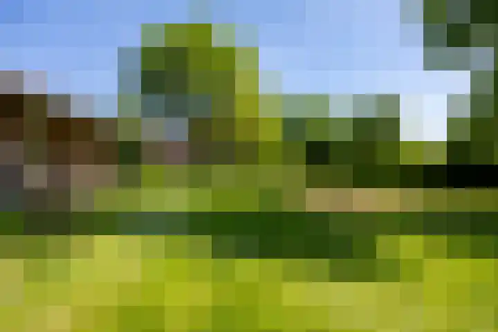 Vossenhof 48 Nijmegen thumbnail 78