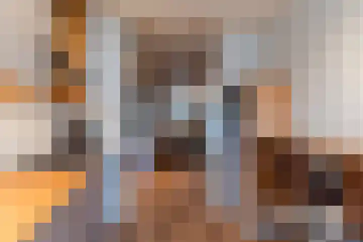 Vossenhof 6 Hooge Mierde thumbnail 10