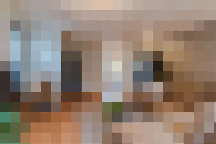 Vossenhof 6 Hooge Mierde thumbnail 16