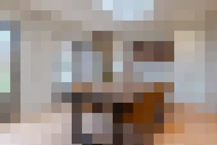 Vossenhof 6 Hooge Mierde thumbnail 18
